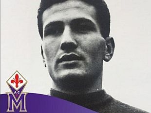 viola-in-lutto-morto-luigi-milan