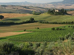 orcia-wine-festival-dal-22-al-25-aprile