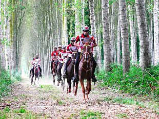 endurance-equestre-a-pisa-il-longines-fei-endurance-world-2021