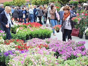 marchetti-e-mugnai-fi-il-distretto-dei-fiori-esiste-solo-sulla-carta