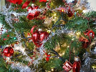 natale-per-i-regali-qualcuno-ha-anticipato-i-tempi-con-lo-shopping-online