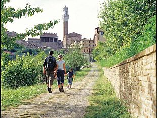 castelfiorentino-escursioni-lungo-la-via-francigena