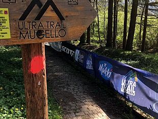 ultra-trail-mugello-la-corsa-100-natura
