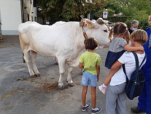 dicomano-torna-la-storica