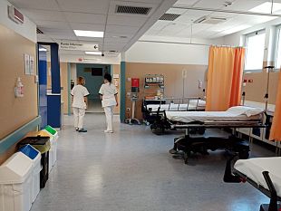 infermieri-collasso-generazionale-i-giovani-evitano-questo-lavoro