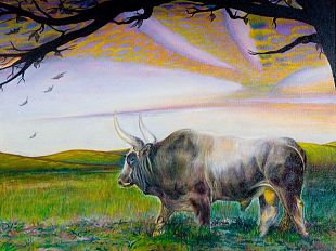 b112021928-massi-in-mostra-con-l-essenziale-e-invisibile-agli-occhi