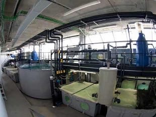 b011012003-l-acquario-di-livorno-svela-i-segreti-dietro-le-quinte