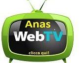 b211141402-la-tv-al-tempo-del-web-20