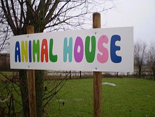 b402271454-cani-gatti-conigli-ad-animal-house-uno-spazio-dedicato-al-loro-soggiorno