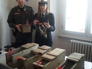 b306121453-maltrattamenti-in-toscana-sequestro-di-mezzi-di-cattura-abusivi-a-prato