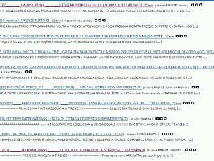 b011161631-firenze-festino-a-base-di-alcool-e-trans-finisce-con-arresti-e-denunce