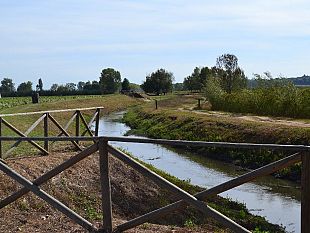 b208141608-padule-di-fucecchio-nessuna-giustificazione-alla-sottrazione-di-acqua