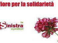 b004291043-cassintegrati-isi-un-fiore-per-la-solidarieta