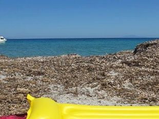 b206291447-e-book-reader-in-prestito-in-tutte-le-biblioteche-della-rete-rea-net