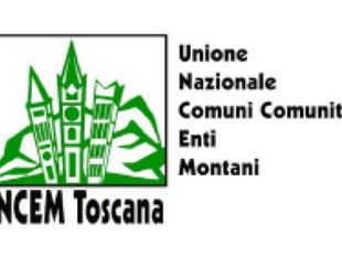 b203102039-la-trasformazione-della-comunita-montana