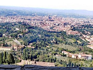 cambiamenti-climatici-ora-la-toscana-punta-sugli-alberi-in-citta