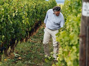 versatilita-e-resilienza-in-una-stagione-di-contraddizioni-climatiche