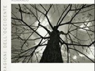 la-generatrice-di-miracoli-un-libro-di-caterina-ceccuti