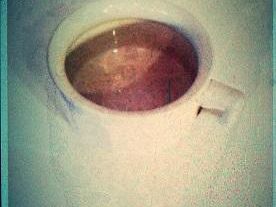 pitale-sci-richard-ginori-anni-60-diventa-portavaso-nel-2014