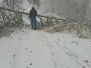 pioggia-a-firenze-continua-lallerta-gialla