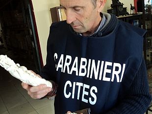 prato-mafia-cinese-e-riciclaggio