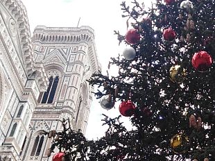 natale-a-firenze-quante-novita-albero-in-piazza-della-signoria