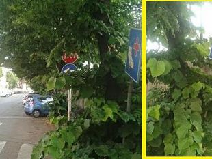 ospedale-pediatrico-meyer-dopo-7-anni-segnaletica-nel-verde