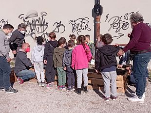 castelfiorentino-150-alunni-imparano-a-divenire-piccoli-agricoltori