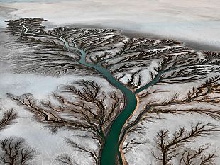 domani-e-la-giornata-mondiale-dellacqua