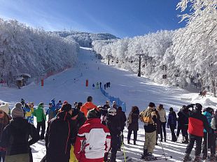 appennino-tosco-emiliano