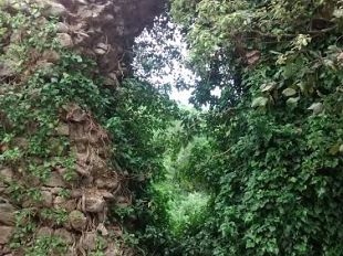 crollanole-mura-dellarea-storica-alle-terme-di-petriolo