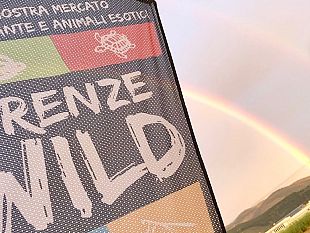 firenze-wild-la-mostra-mercato-di-piante-e-animali-esotici