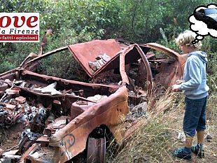 car-sharing-danni-e-assicurazione-cosa-accade-in-caso-di-incidenti