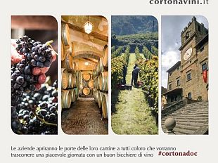 visita-le-cantine-di-cortona-doc