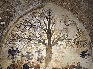 b107271552-l-albero-della-fecondita-torna-visibile-dopo-il-restauro