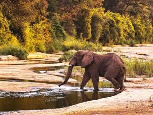 b007141839-non-solo-africa-alla-casa-della-creativita