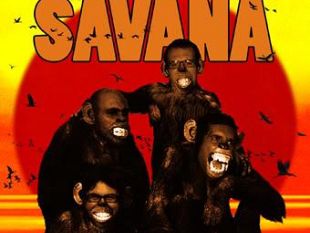 a911180915-savana-il-ritorno-degli-appaloosa