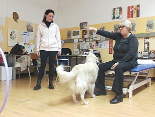 presidio-palagi-pet-therapy-per-i-pazienti-con-fibromialgia