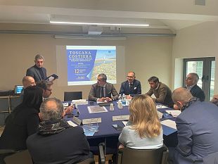 ricorsi-al-tar-contro-il-masterplan-dellaeroporto-di-firenze