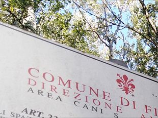 sanzioni-ai-proprietari-di-cani-non-in-regola