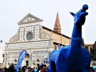 dopo-48-anni-torna-marco-cavallo