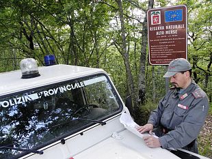 b401072228-emergenza-ungulati-in-toscana-casi-di-giustizia-fai-da-te