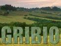 a503171417-agribios-a-pescia-il-19-e-20-marzo-br-mostra-fotografica-i-natura-violata-itinerario-tra-ambiente-e-degrado-i-a-lucca-br-la-via-delle-erbe-ad-arcidosso-sabato-21-e-domenica-22-maggio