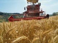 b402111300-agricoltura-in-toscana-resiste-ma-la-burocrazia-e-da-debellare