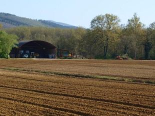agricoltura-toscana-competitiva-nel-futuro-solo-con-reddito-e-sostegno-alle-imprese