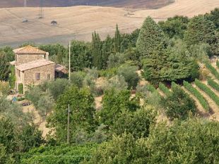 b011131739-l-agriturismo-e-il-traino-della-rinascita-della-ruralita-in-europa
