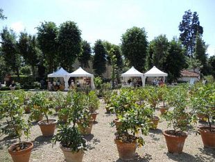 b205171508-i-profumi-di-boboli