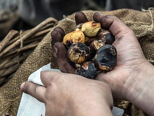 torna-la-festa-di-castagnatura-di-raggiolo