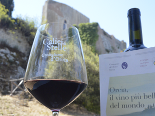 i-vini-nel-calice-e-lo-sguardo-verso-il-cielo