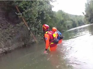 salvato-un-capriolo-a-dicomano